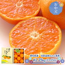 早割 お中元 2025 【7/8〜8/31お届け】 愛知県産 田原温室みかん 果恋 1.25kg SFTMIKA125 みかん ミカン 蜜柑 糖度 12度以上 ...