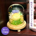 【エントリーでP14 5/9 20:00-】 母の日 父の日 2025 SOUP お供えガラスドームアレンジメント 枯れないプリザーブド フラワー B SPPZ...