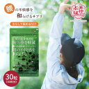 【ゆうパケット】 機能性表示食品 東神田本舗 スパークリングサプリ エナジー GOLC941011 届出番号 I1131 送料無料
