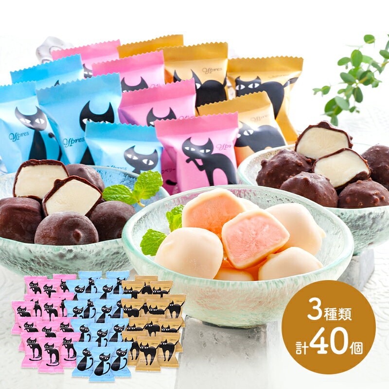 イーペルの猫祭り プチチョコアイス 3種類 計40個 SK2259-W アイスクリーム いちご イチゴ ストロベリー バニラ クランチ デザート スイーツ おしゃれ プレゼント お取り寄せ 贈答品 化粧箱 内祝い お礼 お取り寄せ ギフト 送料無料 実用的 冷凍 長寿祝いのサムネイル