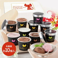 【送料無料】イーペルの猫祭りベルギーチョコレートグラシエ(アイス職人)4種計10個A-BCGR(SP)1000012792デザートスイーツプレゼントお歳暮御歳暮ギフトバニラクランチストロベリーおすすめ贈答品