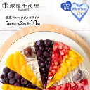 銀座千疋屋 銀座フルーツタルトアイス SK165