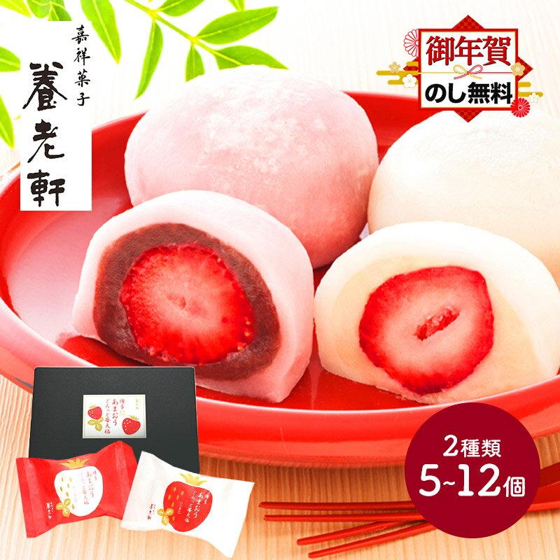 お年賀 2025 京都「養老軒」 博多あまおう ごろっと苺大福 白あん こしあん 5個 12個 SK2575-W SK2577-W いちご大福 フルーツ大福 大福 あまおう 和菓子 お祝い お礼 内祝い ギフト おしゃれ 送料無料 個包装 冷凍 高級 お茶請け お茶菓子 御年賀