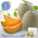 【 お中元 2025/7/1〜9/10お届け】北海道 赤肉メロン 大玉 2玉 SN0000-020104 プレゼント フルーツ メロン めろん 青果 くだもの ...