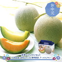 早割 お中元 2025 【7/15〜7/31お届け】赤青ペア メロンセット ( 北海道産 赤肉メロン & 静岡県産 アールスメロン )SN6003-010021...