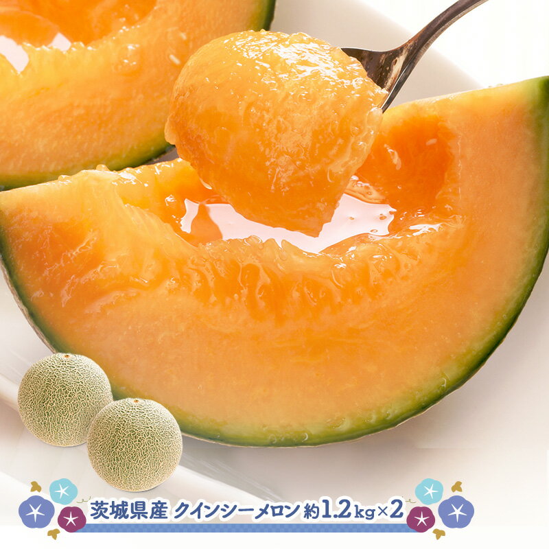 【2024/6/15〜6/26お届け】 茨城県産 クインシーメロン SN6003-010034 約1 ...