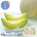 【 お中元 6/25〜7/31お届け】静岡県産 アールスメロン 2玉 SN6003-010070 静岡 メロン めろん 果物 フルーツ くだもの 旬 高級 ブラ...
