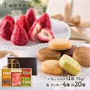 ホワイトデー 2024 銀座千疋屋 いちごショコラ&クッキー チョコ 1種 クッキー 4種 計20個 SK1131 スイーツ 洋菓子 フルーツ セット 詰め合わせ お取り寄せ お祝い お返し 内祝い お礼 おしゃれ ギフト プレゼント ばらまき 個包装 高級 お菓子 常温 送料無料