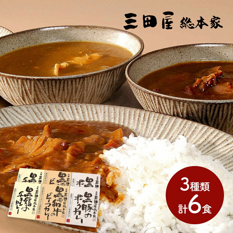 三田屋総本家 カレー詰合せ ギフト M 黒毛和牛のビーフカレー ×2 黒鶏のチキンカレー ×2 黒豚のポークカレー ×2 各210g SK2138 惣菜 お取り寄せ 特産 お祝い セット 詰め合せ おすすめ 贈答品 内祝い お取り寄せグルメ ギフト プレゼント 2022