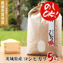 敬老の日 新米 米 国産 白米 5kg コシヒカリ 受賞米 ギフトプチギフト【県北地域うまい米食味コンテスト 最優秀賞 縁起米