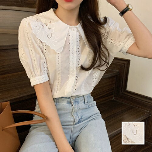 ブラウス シャツ 韓国 ファッション レディース 春 夏 カジュアル お取り寄せ PTXK959 オルチャン コーデ シンプル 定番 セレカジ 20代 30代 40代 2024 パンチングレース ビッグカラー パフスリーブ(4)
