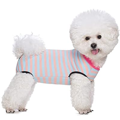 PET ѽѸ 澮 Ѹ Ѹ奦 Ѹ奫С ݸ ꥶ٥顼  ᥹ ǥ Υ ݸʥ...