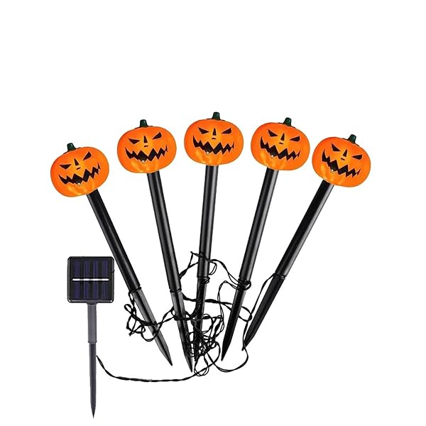 ܤ饤 ǥ饤 ϥ 顼饤 5 in 1 ϥ ȥ󥰥饤 ϥ  ߼  ɿ ...