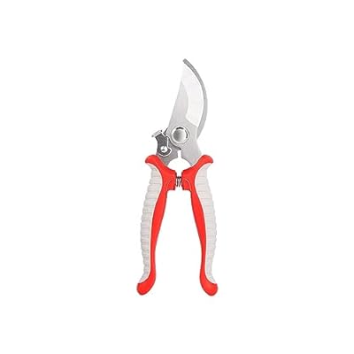 剪定ばさみ 剪定バサミ 女性用 剪定鋏 観葉植物 ハサミ 植木ハサミ はさみ 花 ハサミ 庭ハサミ 花きり..