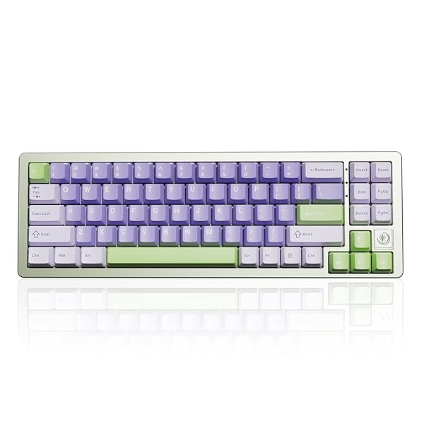 AL71 68% ゲーミングキーボード フルアルミCNC ホットスワップ対応 無線 ガスケット メカニカルキーボード NKRO 2.4GHzワイヤレスBT5.0/USB-C 有線 RGBバックライト Win/Mac用 お贈り物 技適認証取得（グリーン