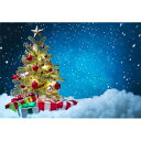 クリスマス Merry Christmas 写真撮影用 背景布 背景 布 写真 摄影 撮影用 星 クリスマスツリー 人物撮影 子供撮影 布バック 背景シート 写真館 撮影スタジオ用 自宅用 ビニール製 2.1x1.5m