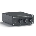 TB10A 2 チャンネルアンプ 100W x 2 パワーアンプ ステレオ オーディオアンプ レシーバー TPA3116 ミニ Hi-Fi クラスD 内蔵アンプ 2.0CH ホームスピーカー用 低音と高音のコントロール付き (電源付き)