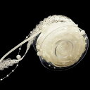 パールチェーンリボン ファッショナブルなレース 薄い装飾リボン レーストリム 結婚式 トリム アップリケ DIYの手工芸品 長さは約5m、幅は約20mmです (...