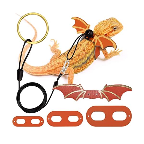 トカゲ用ハーネス 爬虫類 リード 3サイズ 調節可能 コウモリの翼 小動物 ペットハーネスリード 蜥蜴 牽引ロープ お出かけ 散歩用 ハロウィン (オレンジ)