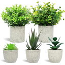 フェイクグリーン 人工観葉植物 5点セット 観葉植物フェイク 鉢植え ふぇいくぐりーん 造花 観葉植物 セットフェイクグリーン ミニ 観葉植物 フェイク セット インテリア 可愛い 人工観葉植物 小さい 観葉植物フェイク小型 ミニ 観葉植物 人工植物