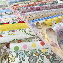 Liuliu 花柄プリント 生地 可愛い はぎれセット DIY 手芸用 布 素材 パッチワーク 給食袋、ポーチなどの作りに (25枚 30cm x 30cm)
