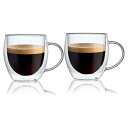 ダブルウォール グラス 二重構造 耐熱 カップ 保温 保冷 タンブラー 取っ手付 2個セット (250ml(マグ))