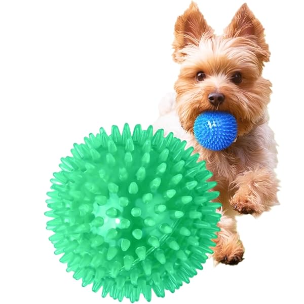 ʥ奢SHOPŷԾŹ㤨ָѤ ܡ νФ प ᤭ ŷ  ѵ ư­ ȥ쥹  ΰ /淿Ŭѥ (꡼ ľ5.5cm 1ġפβǤʤ1,044ߤˤʤޤ