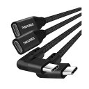 90度直角USB C 延長ケーブル 0.1M 2本入り Type C 3.2 Gen2 オス-メス 20Gbps 4K ビデオ延長コード MacBook iPad Pro Nintendo Switch スチームデッキ対応