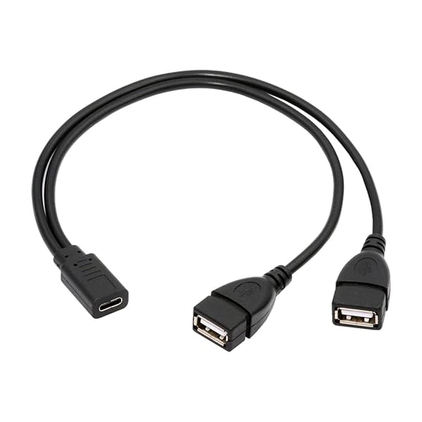 タイプ C USB-C メス DC 5V からデュアル USB 2.0 標準タイプ A メス スプリッター延長充電ケーブル