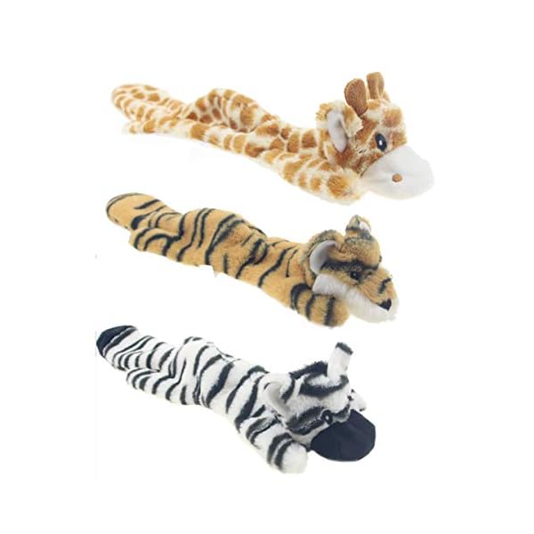 3å 㲻Ф ѲФ ̤ 󥿥饯ƥ֥ȥ졼˥ ̤ ѵ (5#)