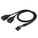 ケーブルマザーボード9ピン10ピンマザーケースからデュアルUSB 2.0マザーA型ケーブル50 cm(2)