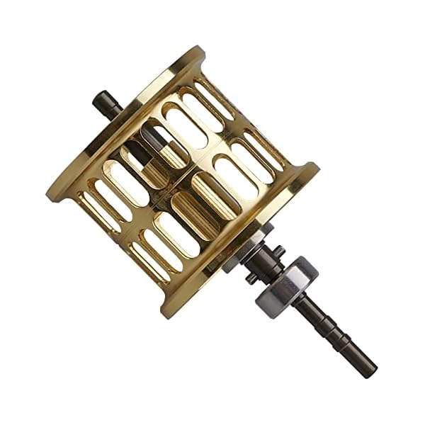 リール スプール ダイワ(DAIWA) PR100 PT100 ベイトリール 替えスプール ベアリング付き (ゴールド) (421)