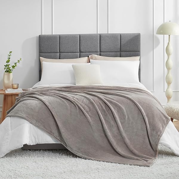 毛布 もうふ 夏用 ダブル ブランケット 大きめ 200x220cm 大判 ダーク グレージュ マイクロファイバー 柔らかく 肌触り フランネル 洗える 軽量 静電防止 四季適用 (200x220,ダーク グレージュ)
