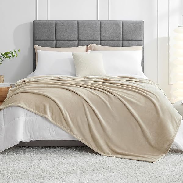 毛布 もうふ 夏用 ダブル ブランケット 大きめ 200x220cm 大判 グレージュ マイクロファイバー 柔らかく 肌触り フランネル 洗える 軽量 静電防止 四季適用 (200x220,グレージュ)