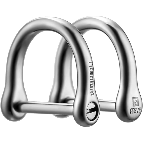 キーリング チタン 鍵 車 バイク キーホルダー かわいい Dリング スマートキー用に キーチェーン 艶のある表面(チタン Dリング S*2個)