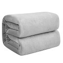 毛布 シングル 冬用 ブランケット 100x140cm アイスグレー マイクロファイバー 柔らかく肌触り フランネル 洗える 静電防止 四季適用 (100x140,アイスグレー)