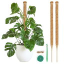 園芸支柱 64CM モンステラ ココナッツ支柱 観葉植物 つる植物 ガーデニング支柱 維持水分 養分維持 農業用 園芸用 2本セット