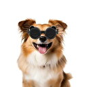 小型犬用ゴーグル パンダスタイル UVレンズ 犬用サングラス 小型犬用 目の保護 猫用メガネ 曇り止め 防風 防雪 ブラック
