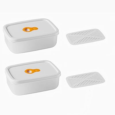 保存容器 耐熱容器 フードコンテナ プラスチック容器 コンテナ 御飯 冷凍 真空保存容器 キッチン用品 密閉容器 プラスチック 作り置き キッチン便利グッズ デザートケース 野菜 冷凍ご飯 小分け 冷凍ごはん food container 小 bpa