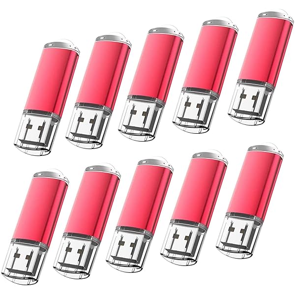 USBメモリ2G 10個セットUSB2.0 USBフラッシュメモリー キャップ式 ストラップホール付き フラッシュドライブ（赤色）