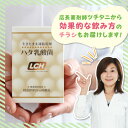 ハタ乳酸菌 LCH 60g（2g×30包入り）【FDA承認】 送料無料 | 乳酸菌 粉末 サプリ 善玉菌 菌活 2