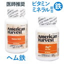 鉄分 サプリ ヘム鉄 ヘム アイアン ダグラスラボラトリーズ 120粒 Fe2+ 鉄 ビタミン ミネラル 60粒 正規販売店 サプリメント 葉酸
