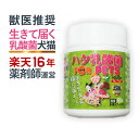 ハタ乳酸菌 FOR PET ペット用 60g入り 約2ヶ月分 計量スプーン付 【FDA承認】