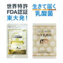 乳酸菌 サプリ 粉末 善玉菌 ハタ乳酸菌 LCH シリーズ 2g×30包 お試しパック 2g×7包 菌活 お通じ 腸活 腸内フローラ 腸内環境