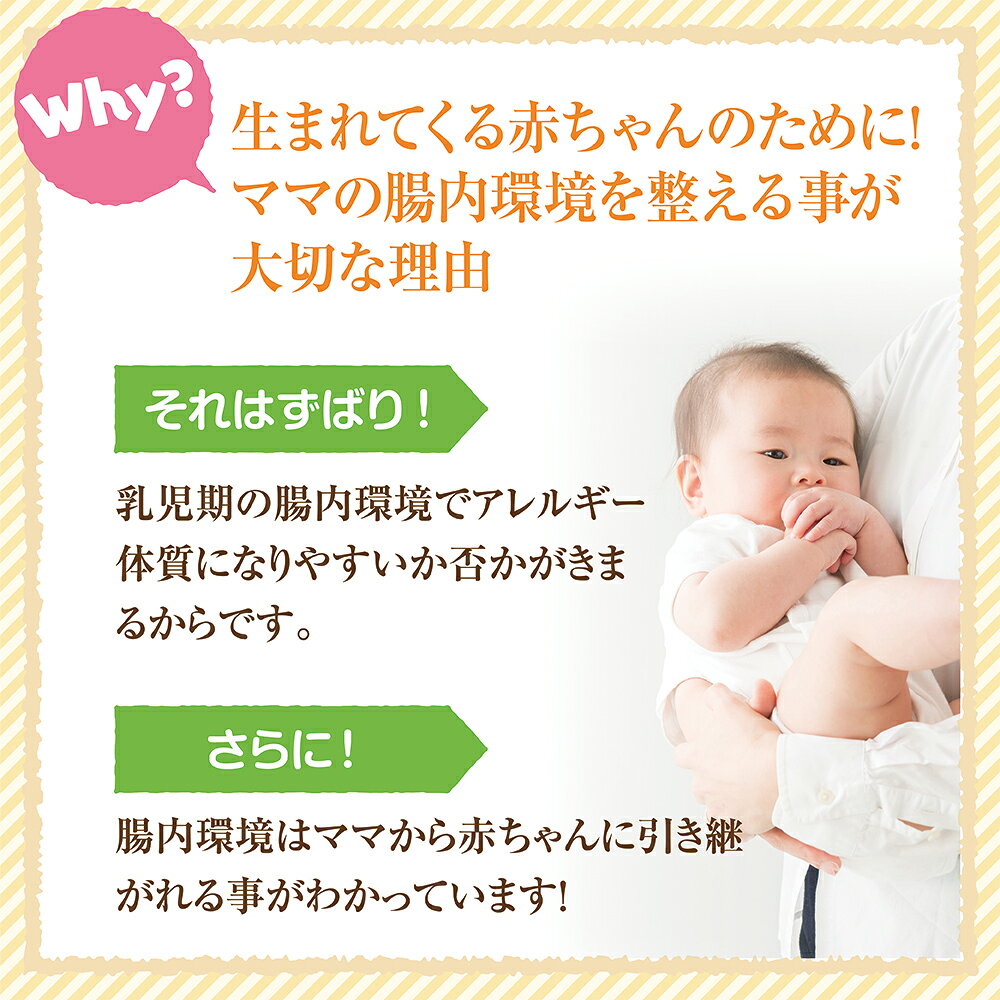 ハタ乳酸菌とプレネイタルのセット 菌活 お通じ 腸活 腸内フローラ 腸内環境 善玉...