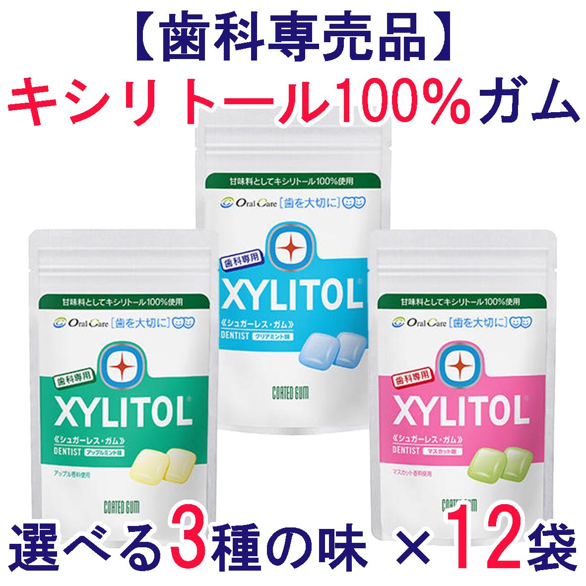 【送料無料】【 キシリトール100% 】【送料無料】キシリトールガム キシリトール 100％ ガム パウチ チャック 12 歯磨き粉 歯科 歯間ブラシ デンタル デンタルペースト 歯医者 ファミリーボトル 子供 大容量 アップルミント マスカット クリアミント
