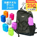 \250円OFFクーポン有/ 冷感タオル ケース 2個 冷却タオル セット クールタオル 子ども 熱中症対策 冷却 おすすめ 振るだけ ひんやり カラビナ ケース付き 子供 サッカー 野球 登山 グッズ 首 生活雑貨 運動会 ひんやりタオル 誕生日プレゼント 女友達 女性