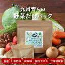 【全品クーポンで7%OFF】野菜だし だしパック 5g×10包 出汁 パック だし 国産 出汁 野菜 食塩不使用 酵母エキス不使用 九州産 ブイヨン 玉ねぎ キャベツ 白菜 大根 セロリ トマト ごぼう しいたけ 人参 生姜 味噌汁 健康 栄養 送料無料 0128