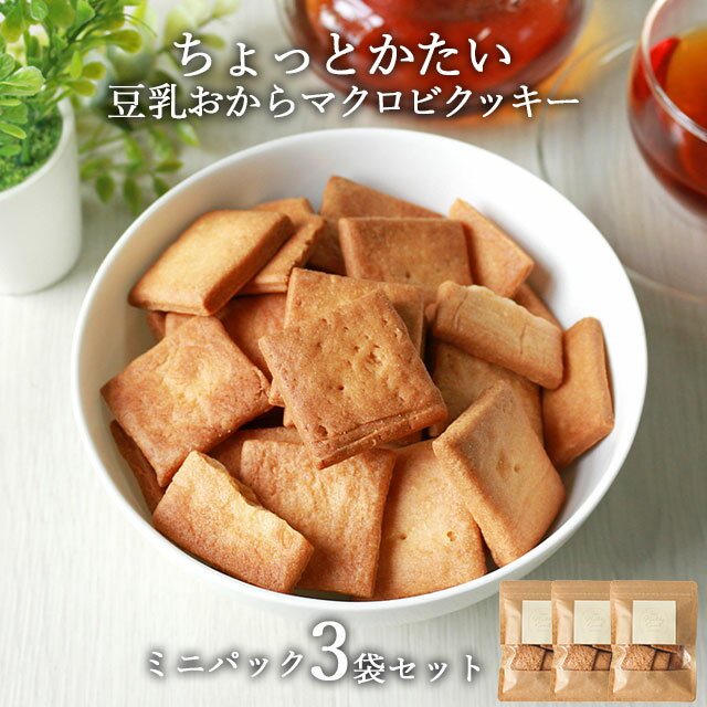 おからクッキー 訳あり 1000円ポッキリ 送料無料 ちょっとかたい マクロビ 豆乳おからクッキーミニパック 159g(53g×3袋) お菓子 スイーツ 訳あり ダイエット お菓子 おかし ダイエットクッキー かたい 硬い ハード 置き換え