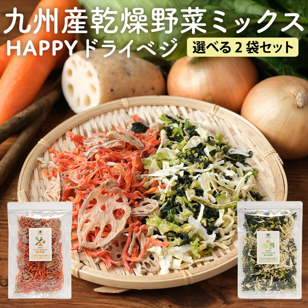 乾燥野菜 国産 乾燥野菜 2袋セット ミックス 長期保存 乾燥野菜 根菜 葉野菜 九州産 葉野菜 100g 根菜 120g 簡単 栄養 キャベツ ほうれん草 玉ねぎ ごぼう 人参 れんこん 保存食 栄養 アウトドア キャンプ 送料無料 0918